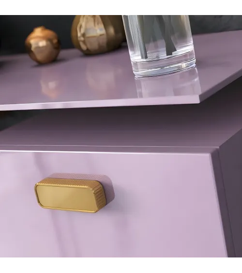 WEGA polished gold furniture handle designer handle