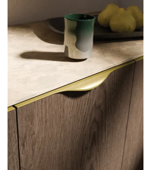 LEXA gold anodised furniture handle designer handle