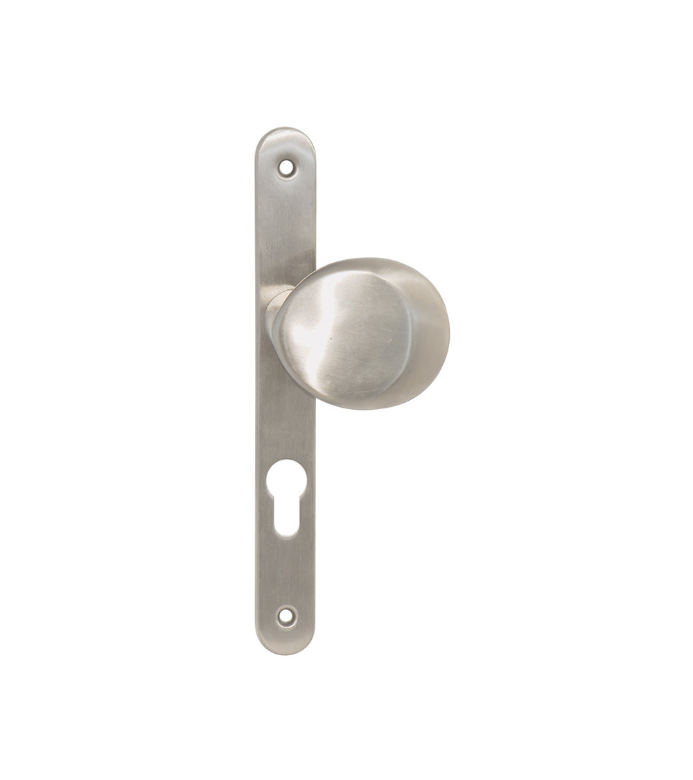 Narrow backplate stainless steel Amande cylinder 70 EUROWALE