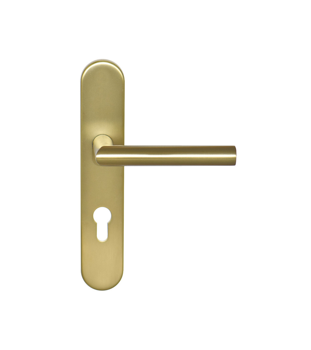 Altesse Satin Gold Handle on Plate Cylinder ea70 EUROWALE