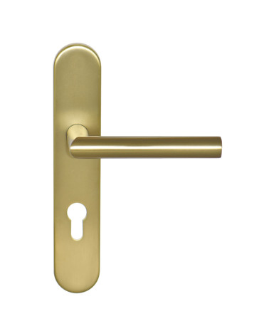 Altesse Satin Gold Handle on Plate Cylinder ea70 EUROWALE