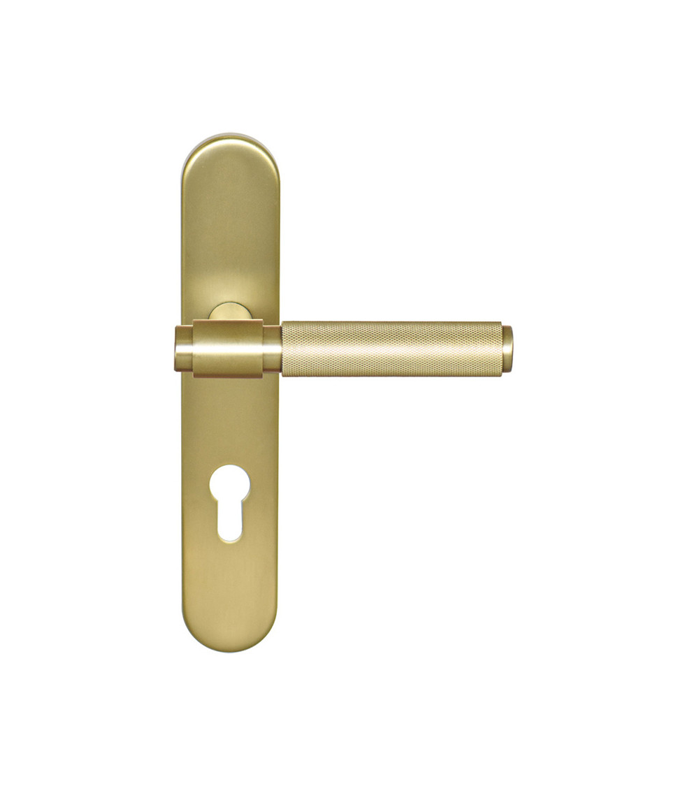 Cers Satin Gold PVD Handle on Plate Cylinder ea70 EUROWALE