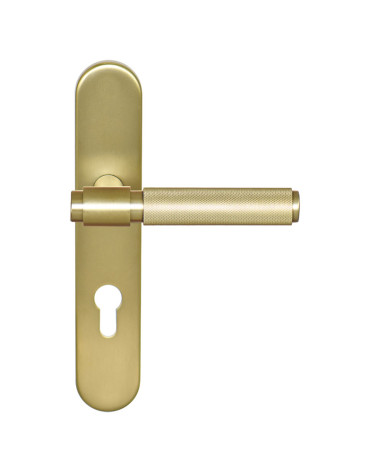 Cers Satin Gold PVD Handle on Plate Cylinder ea70 EUROWALE