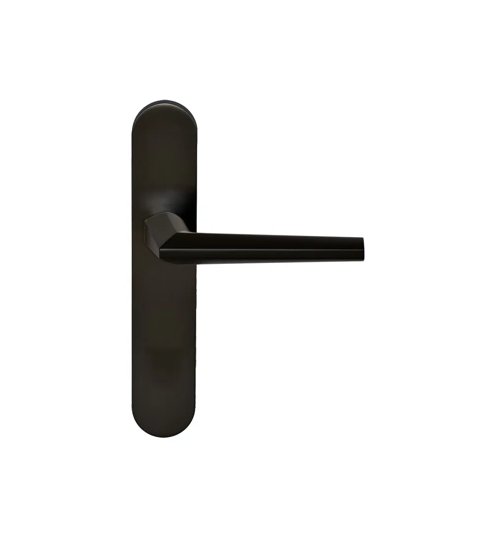 Loo Handle in Black on Blank Plate