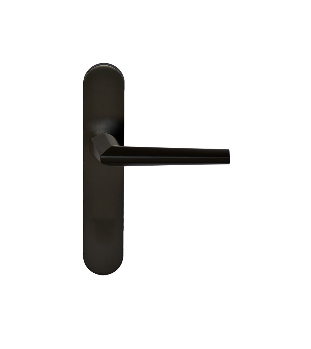 Loo Handle in Black on Blank Plate
