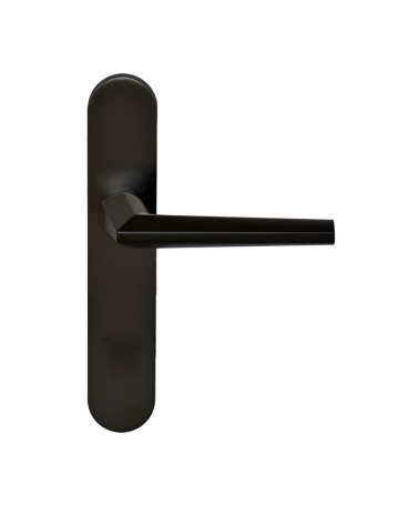 Loo Handle in Black on Blank Plate