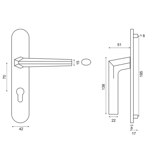 Loo Handle in Black on Blank Plate