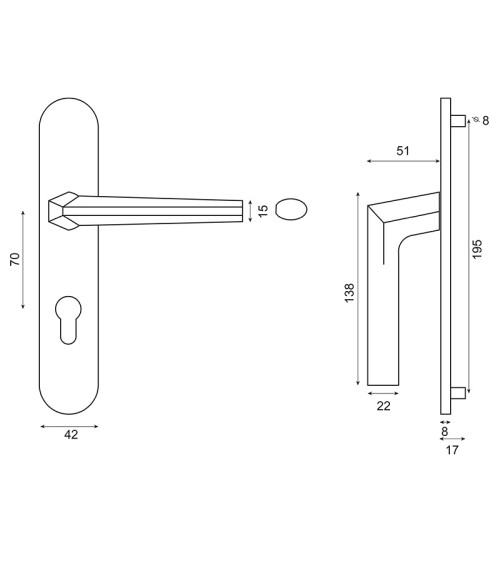 Loo Handle in Black on Blank Plate