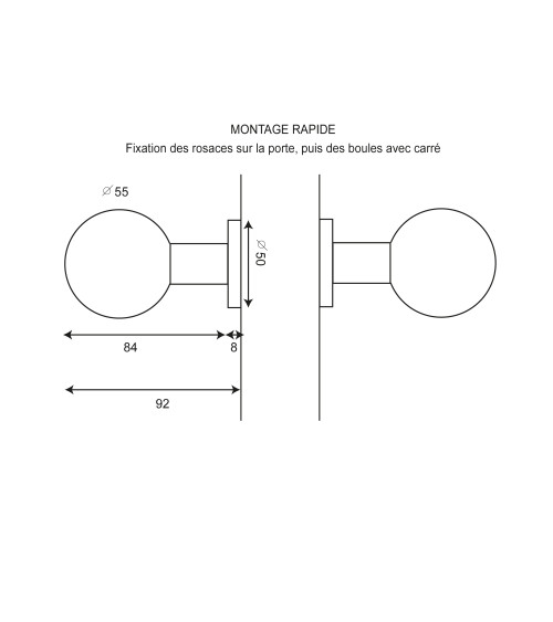 Double ball door handle in stainless steel EUROWALE