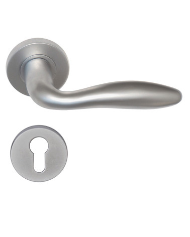 Door handle Harmonie + Cylinder rosette EUROWALE