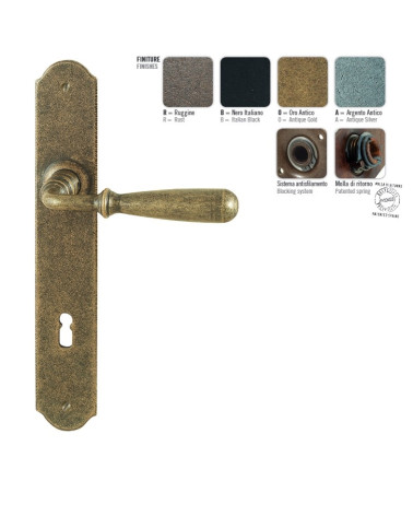 FON antique gold door handle
