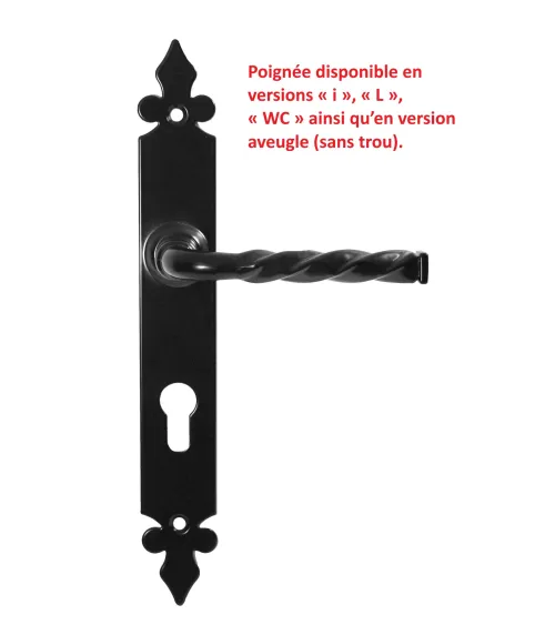 Elisabeth retro black door handle on long backplate