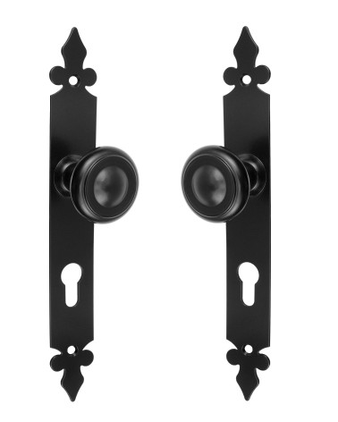Retro matte black door knob on long backplate for door, gate and garden gate – Elisabeth Collection