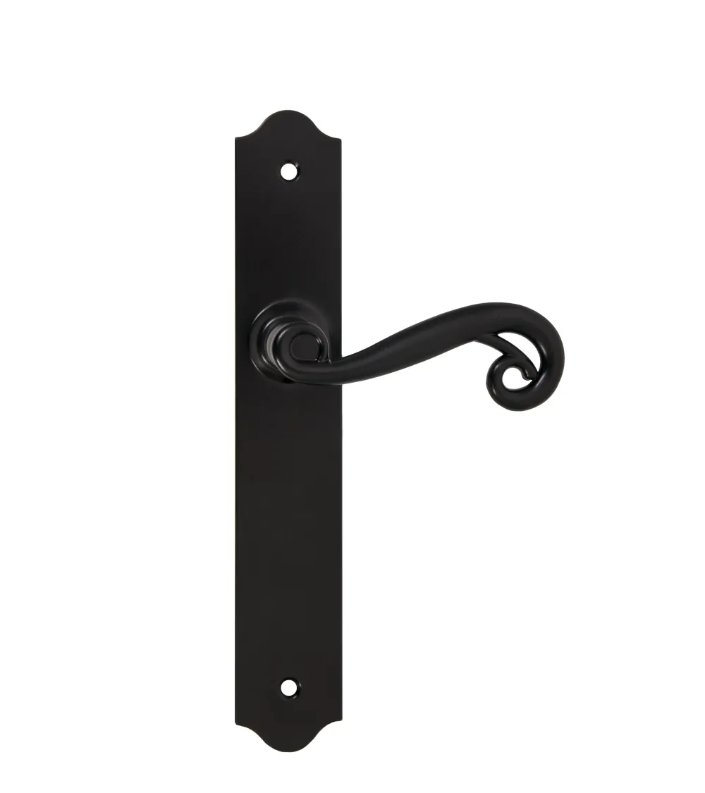 Retro matte black door handles on long backplates for doors, gates and garden gates – Charlotte Collection