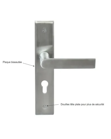 Bastide Prestige door handle on large backplate for entrance door