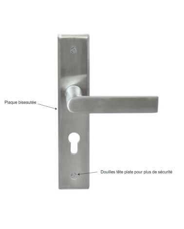 Bastide Prestige door handle on large backplate for entrance door