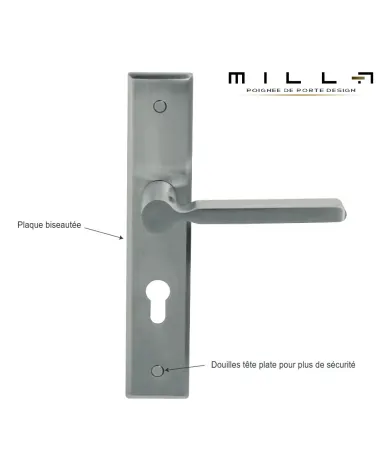 Stainless steel handle on long bevelled large backplate for entrance door - Mercure Prestige model