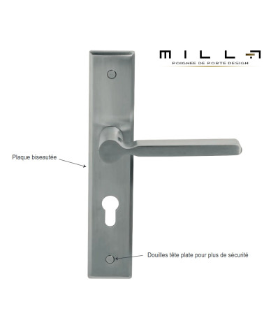Stainless steel handle on long bevelled large backplate for entrance door - Mercure Prestige model