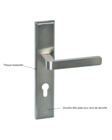Soho Prestige door handle on large backplate for entrance door