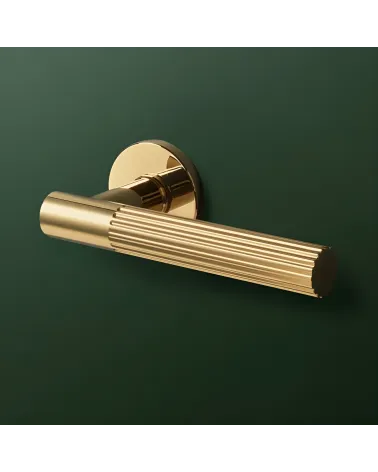 Polished gold LIVIA door handle designer handle showcased on a green background