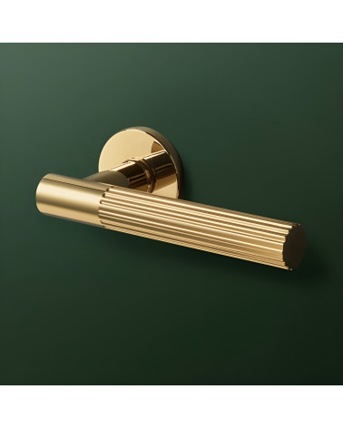 Polished gold LIVIA door handle designer handle showcased on a green background