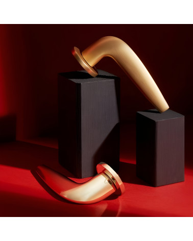 JULIA satin gold door handle design handle showcased on black blocks