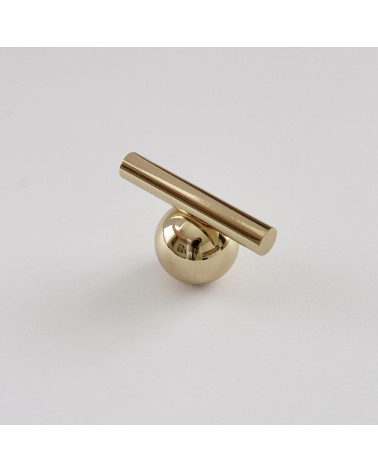 Polished brass furniture knob model 04