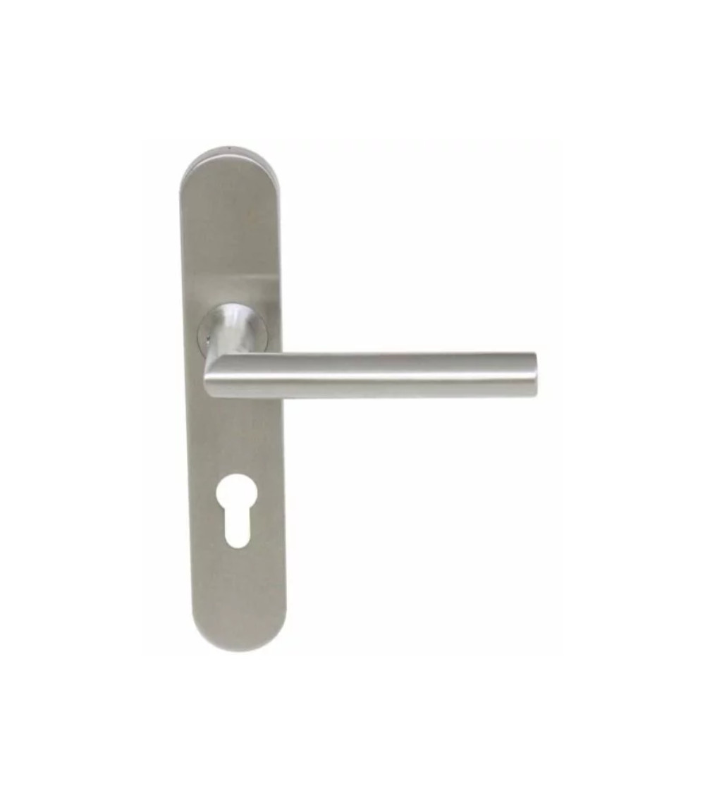 Elegant door handle on small brushed stainless steel plate 165 Altesse - MillaPoignées