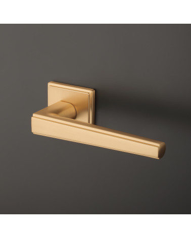 Contemporary door handle SYRINGA design handle on a background