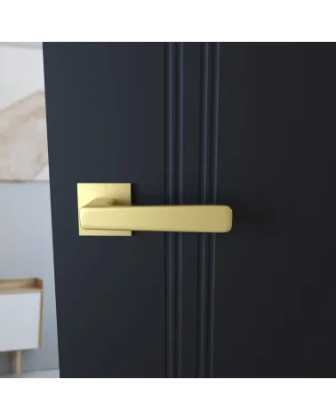 Modern door handle PARMA design handle colour 1 front view mounted on a door