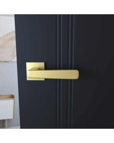 PARMA matt gold door handle design handle front view mounted on a door