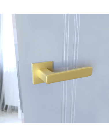 PARMA matt gold door handle design handle mounted on a door