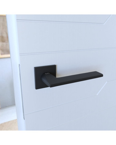 ARA black door handle design handle fitted on a door