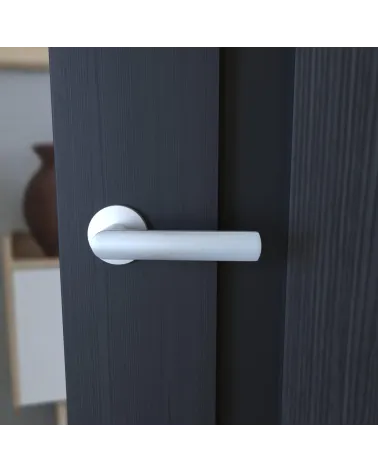 TORINO satin chrome door handle design handle front view