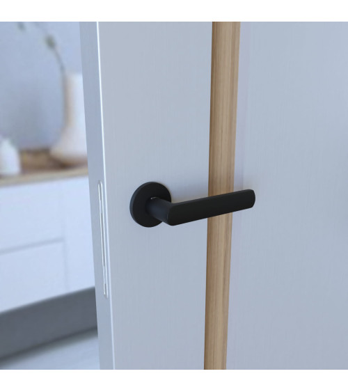 TORINO black door handle design handle