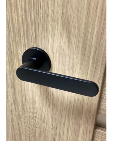 Black Line Vénus door handle designer handle mounted on a door