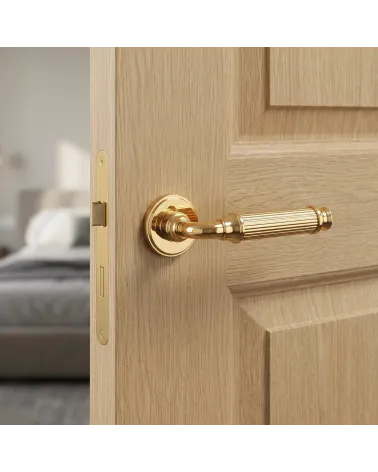 NIGELLA polished gold door handle