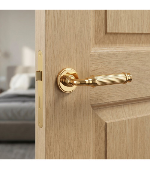 NIGELLA zamak door handle design