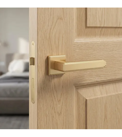 MIMOSA matt gold door handle design handle