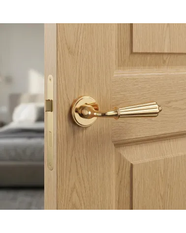 Polished gold colour door handle LIMONA