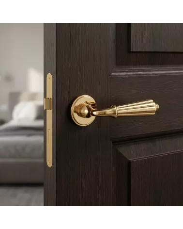 Classic Style Door Handle - LIMONA Model