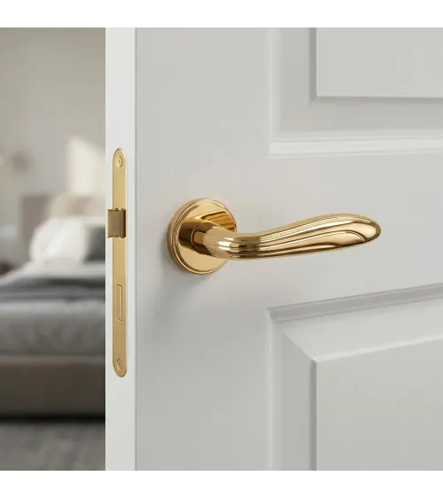 CATALPA design door handle in polished gold