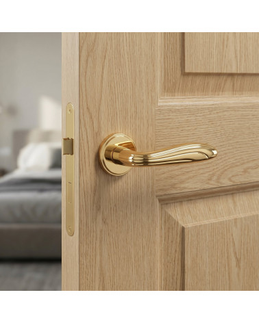 Polished gold door handle CATALPA