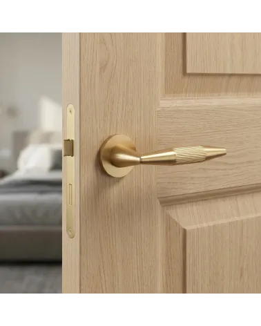 IDESA contemporary style door handle