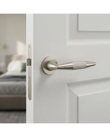 IDESA satin nickel door handle