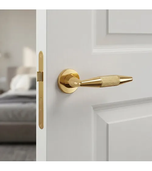 IDESA polished gold door handle design