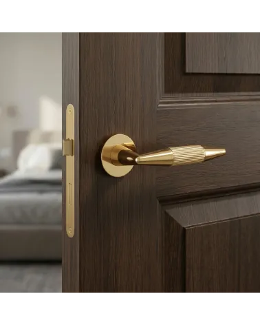 IDESA polished gold finish door handle
