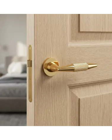 IDESA polished gold finish door handle