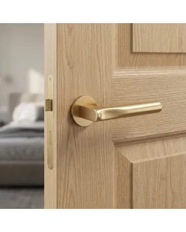 Door handle satin gold finish TACTUS