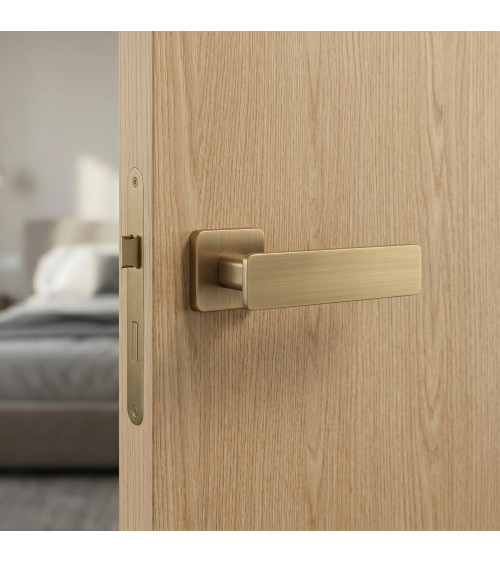 NOEMIA designer door handle in matt antique patina finish